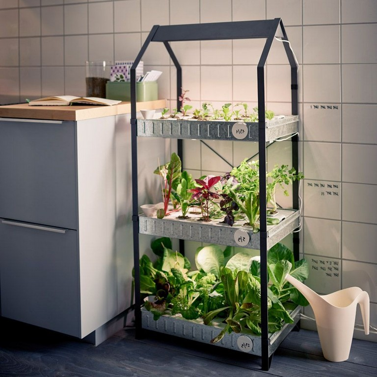 Indoor Garden Accessories