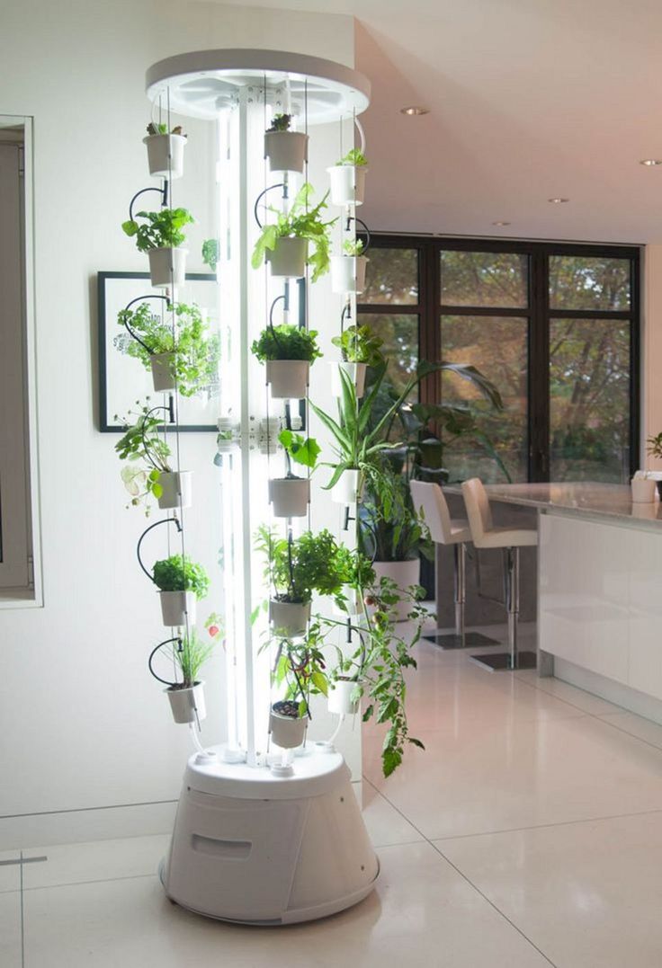 Incredible Indoor Vertical Garden Apartment Incredible Indoor Vertical