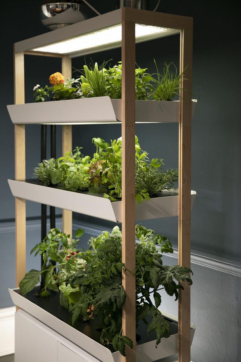Indoor Vertical Garden Beautiful Diy Vertical Garden Ideas