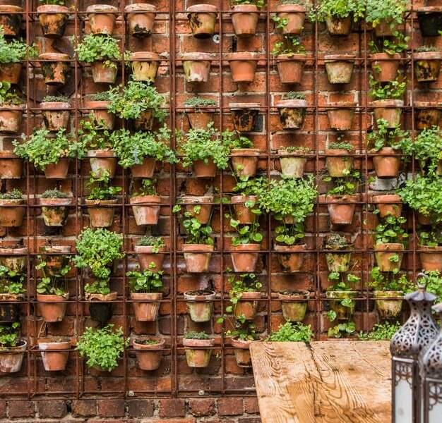 Cool Indoor And Outdoor Vertical Garden Ideas