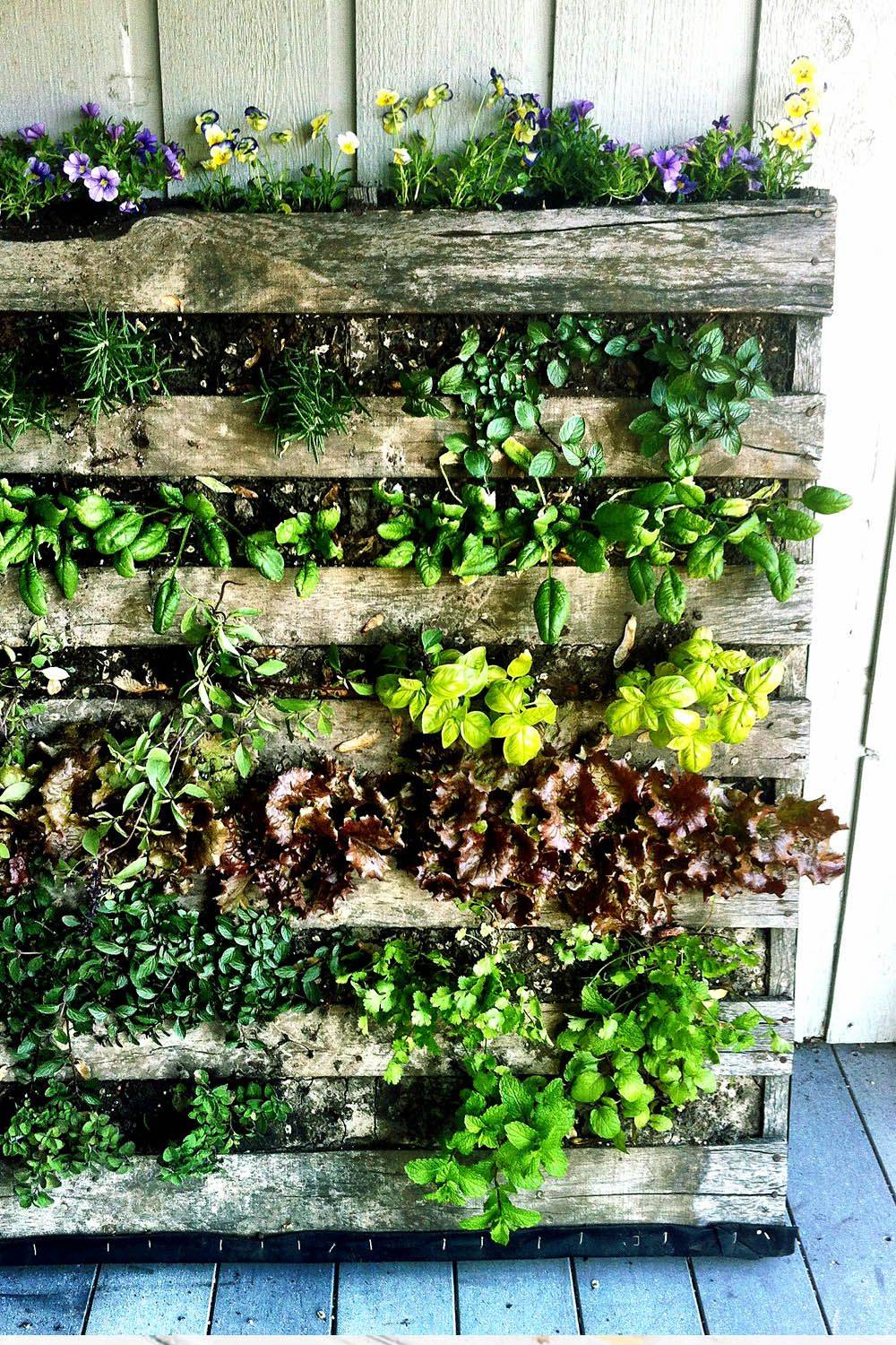 Easy Diy Vertical Garden Indoor Ideas