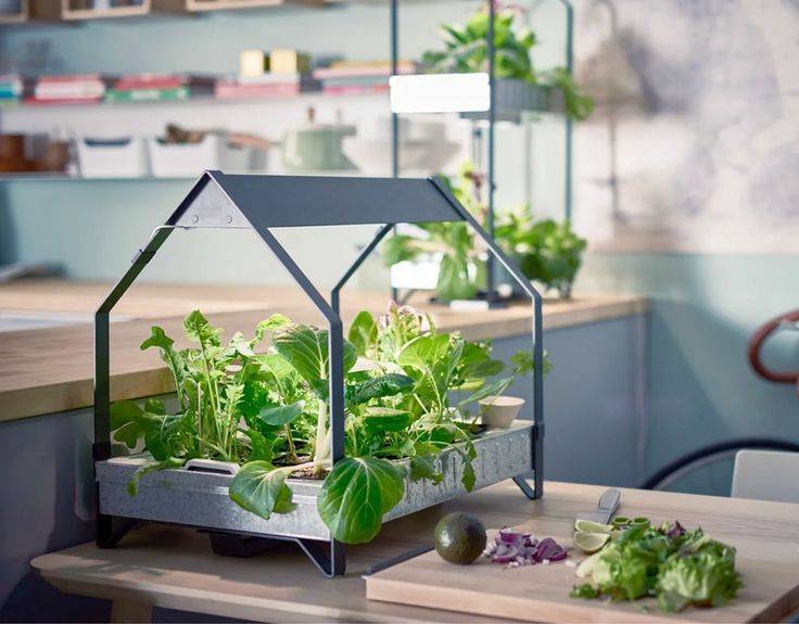 Lovely Indoor Hydroponic Garden Ideas