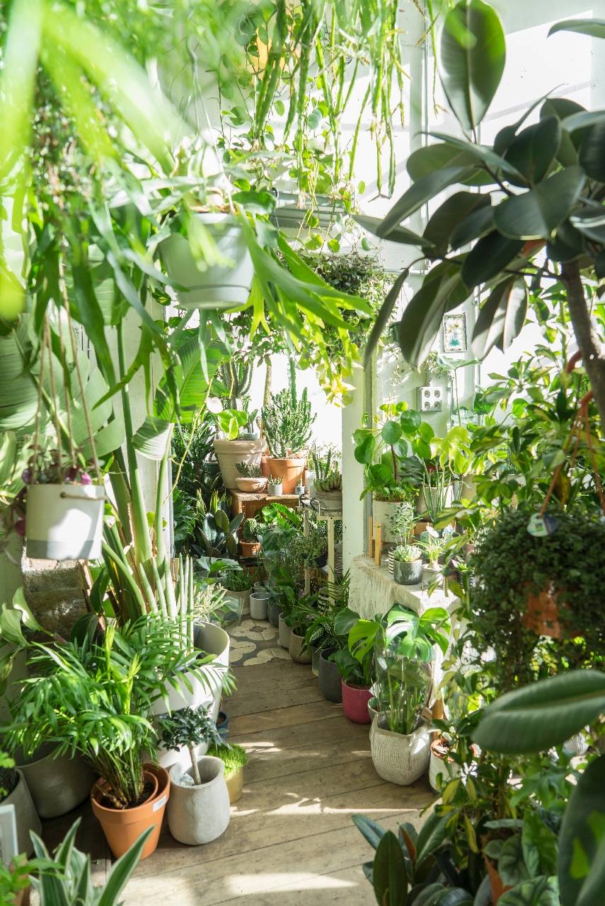 Diy Indoor Window Garden Ideas