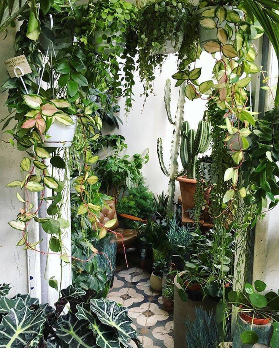 Luxury Indoor Gardening Ideas