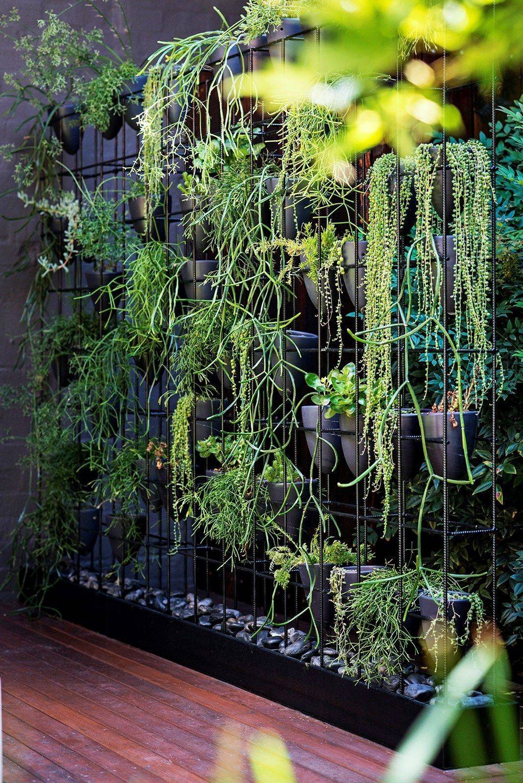 Tropical Garden Ideas