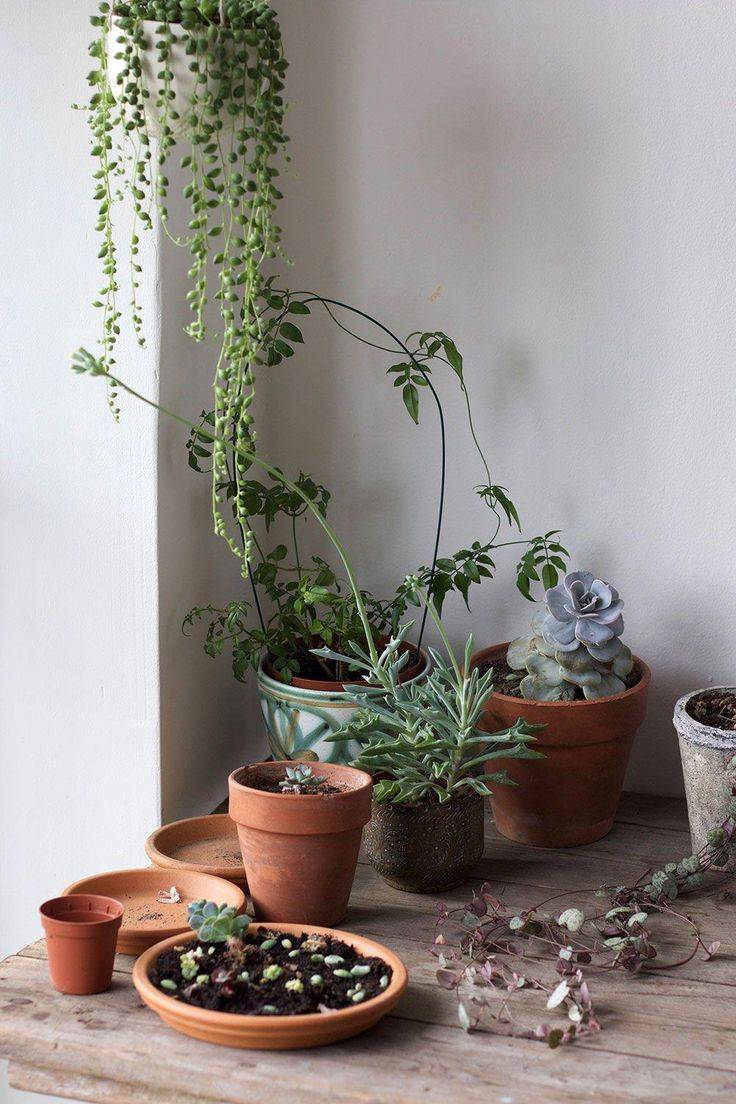 Adorable Indoor Vertical Garden Design Ideas