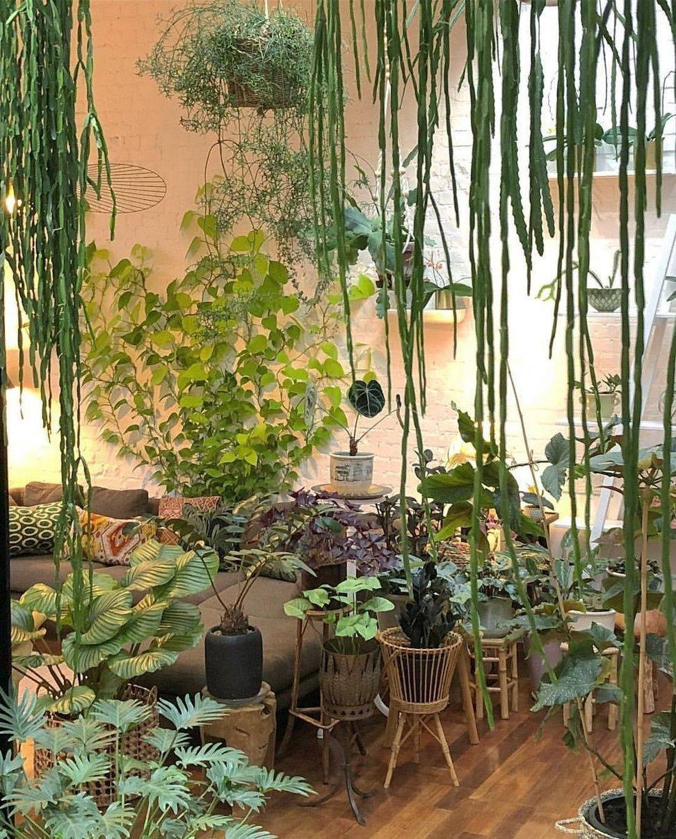 Indoor Garden Ideas