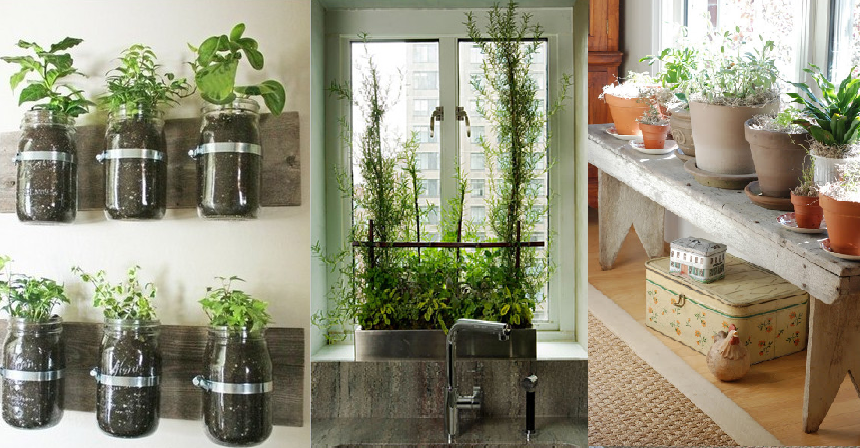 Urban Gardening Ideas Healthy Eating