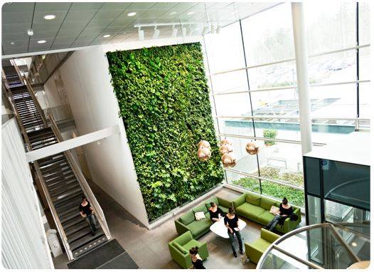 Amazing Home Indoor Jungle Decorations Tips