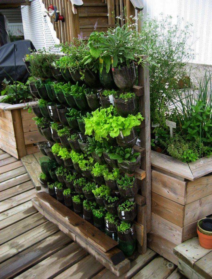 Lowcost Indoor Garden