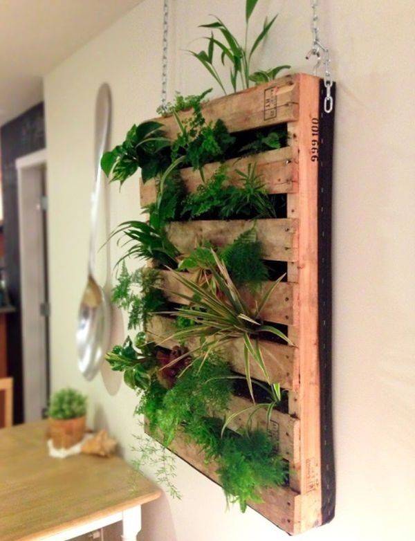 Stunning Indoor Living Wall Herb Garden
