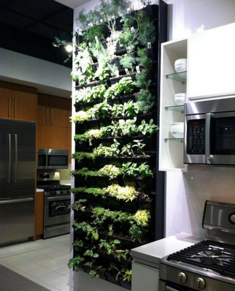 Stunning Indoor Living Wall Herb Garden