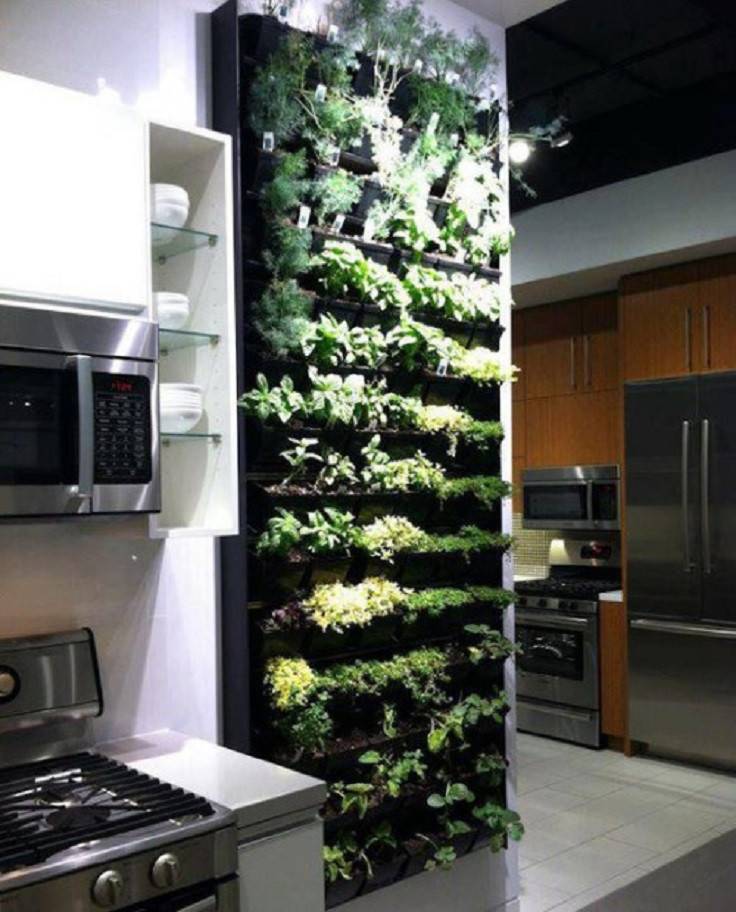 Stunning Indoor Wall Herb Garden Ideas