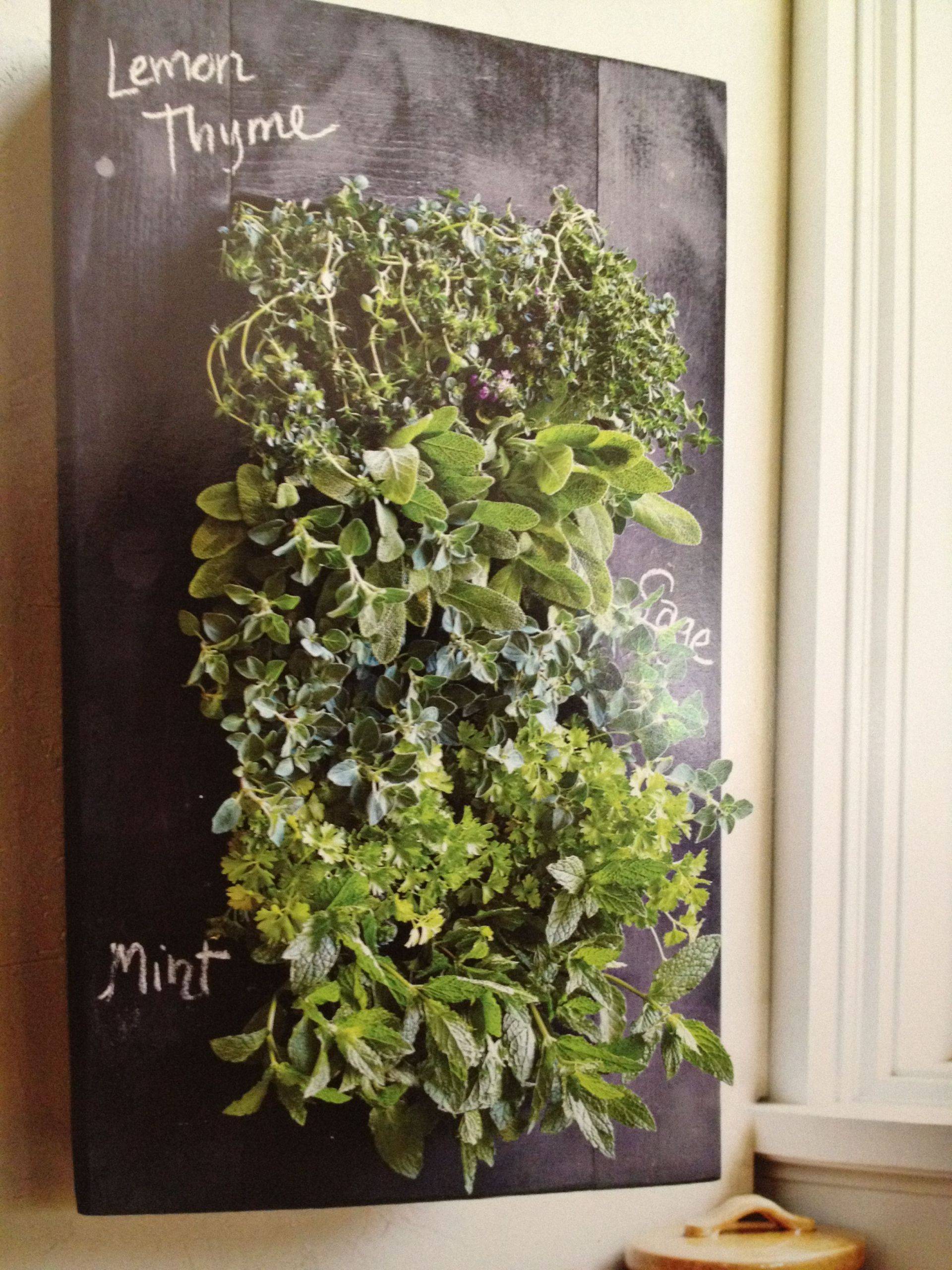Stunning Indoor Wall Herb Garden Ideas Page