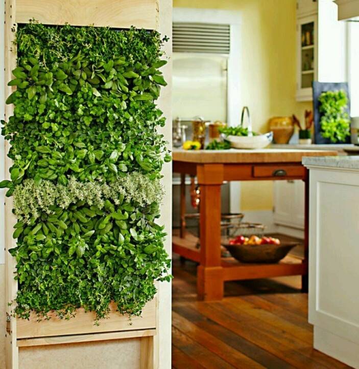 Diy Herb Wall Herb Wall