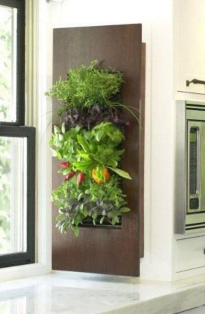 Herb Living Wall Indoor Herb Garden