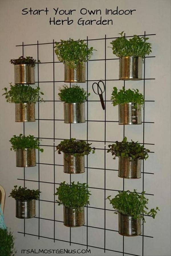 Most Amazing Living Wall And Vertical Garden Ideas Foxy Oxie