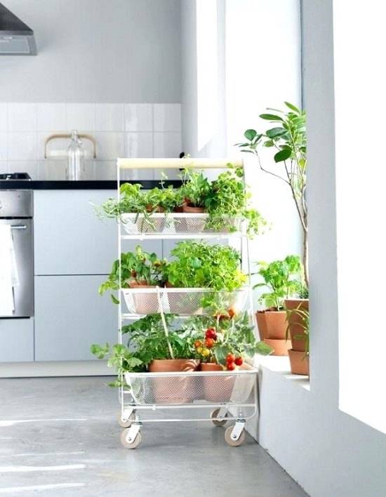 Amazing Indoor Kitchen Herb Gardens