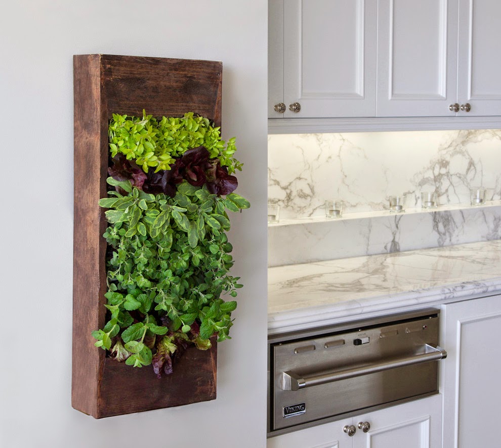 The Countertop Indoorherbgarden