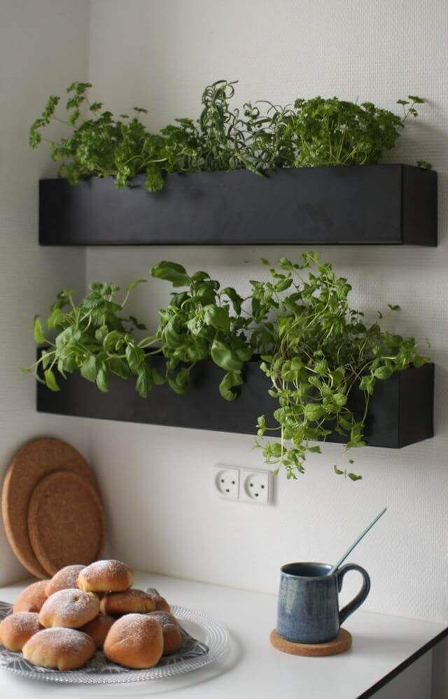 The Best Indoor Herb Garden Ideas