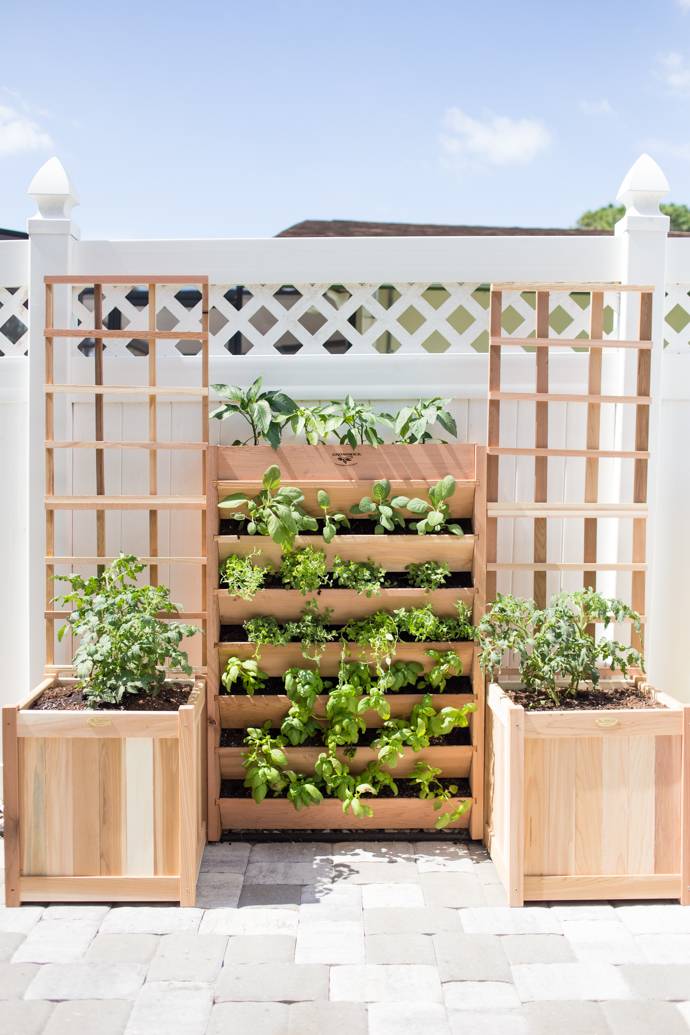 The Best Vertical Gardens
