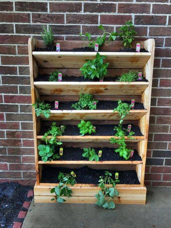 Vertical Gardening Planters