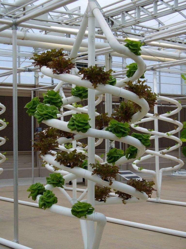 Inspiring Hydroponic Gardening Ideas