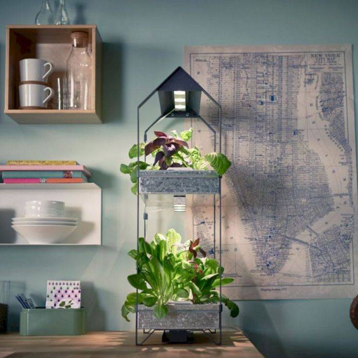 Nice Top Hydroponic Garden Ideas