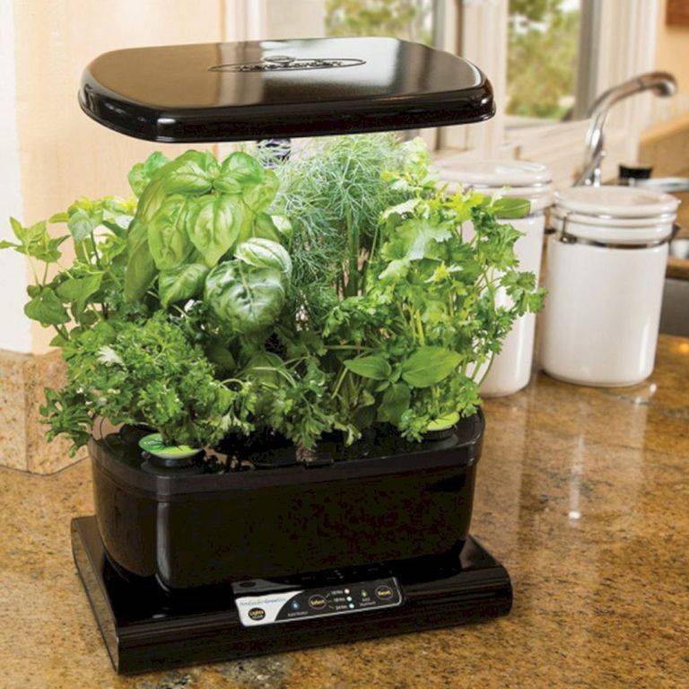 Nice Top Hydroponic Garden Ideas