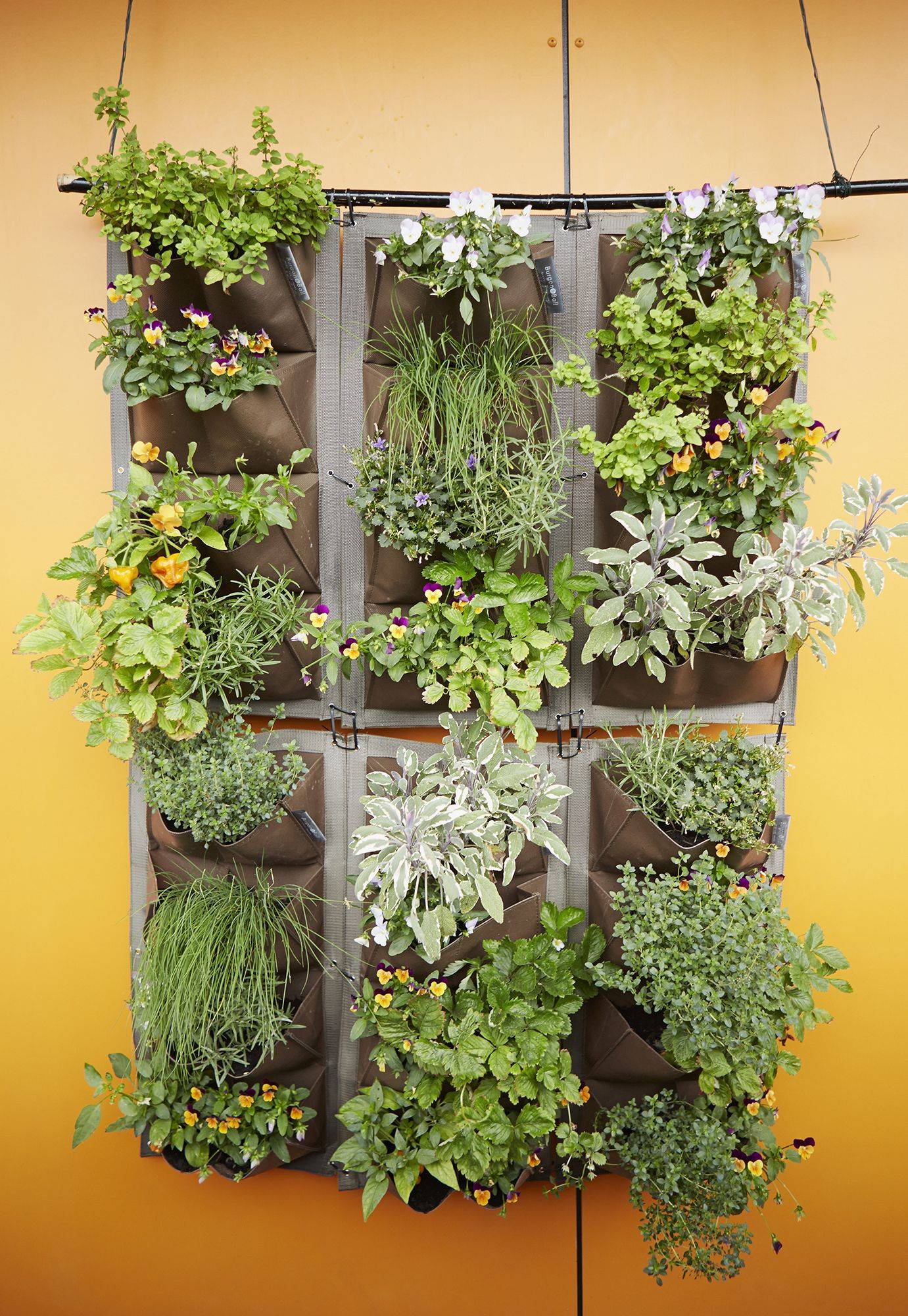 Amazing Vertical Wall Gardens