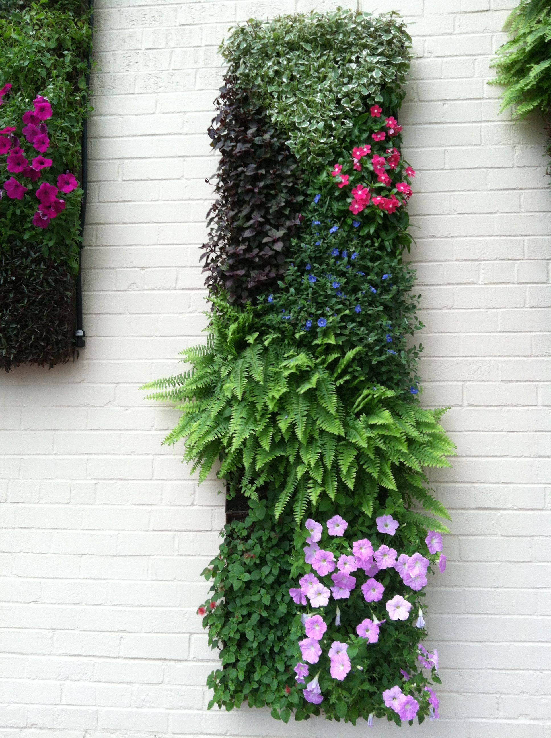 Creative Ways Beautiful Hanging Garden Design Ideas