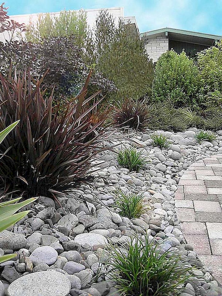 Beautiful Gardening Plants
