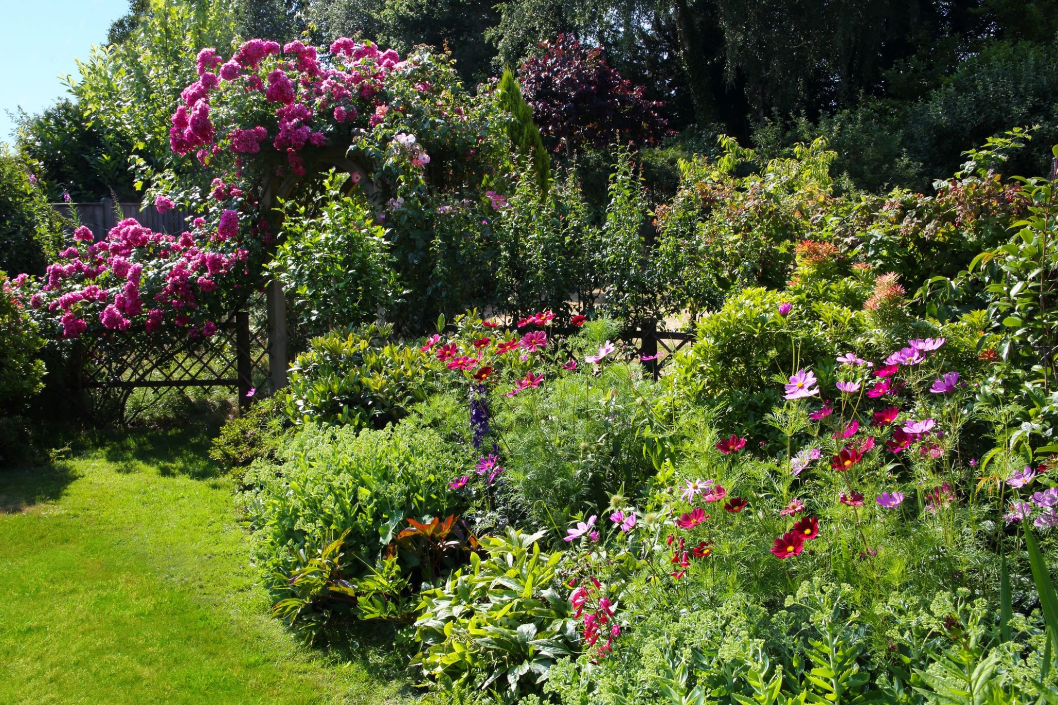 Patio Backyard Plant Low Maintenance Elegant Landscaping Ideas Images