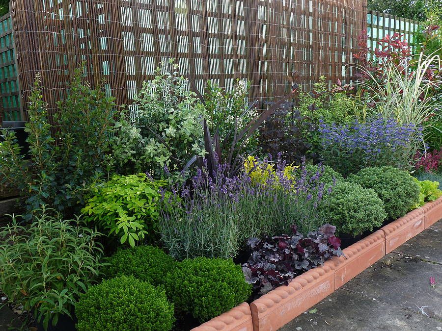 Low Maintenance Front Yard Landscaping Fall