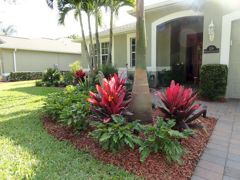 Lowmaintenance Garden