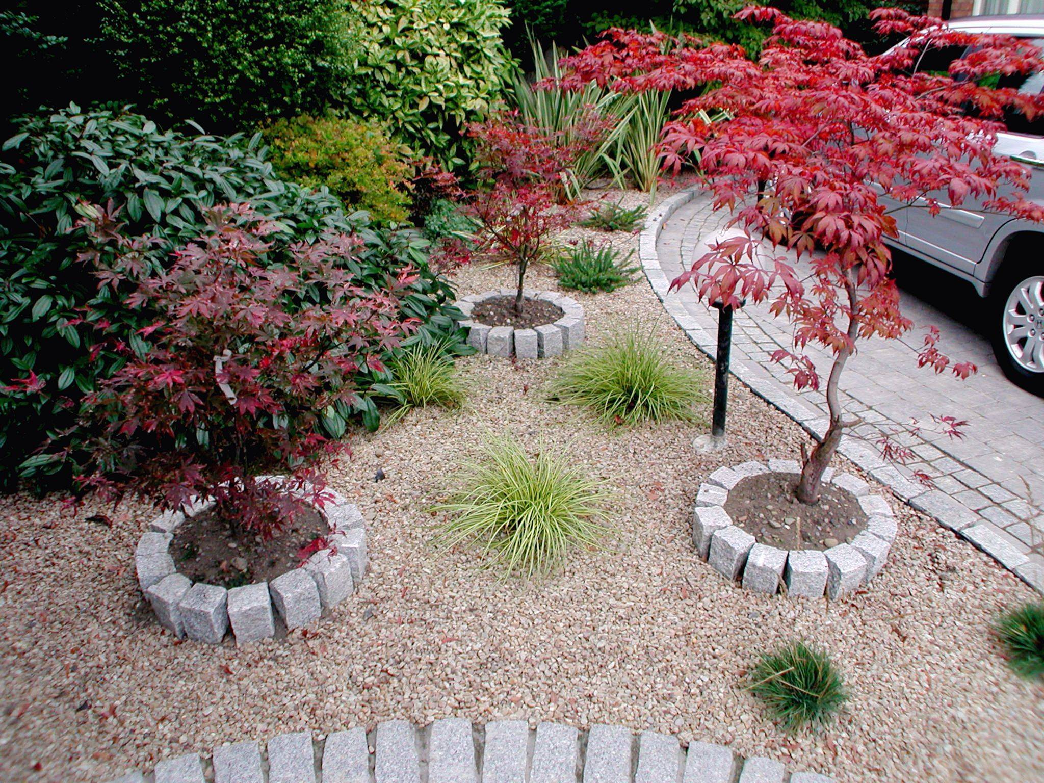 20 Easy Low Maintenance Garden Ideas Worth a Look SharonSable