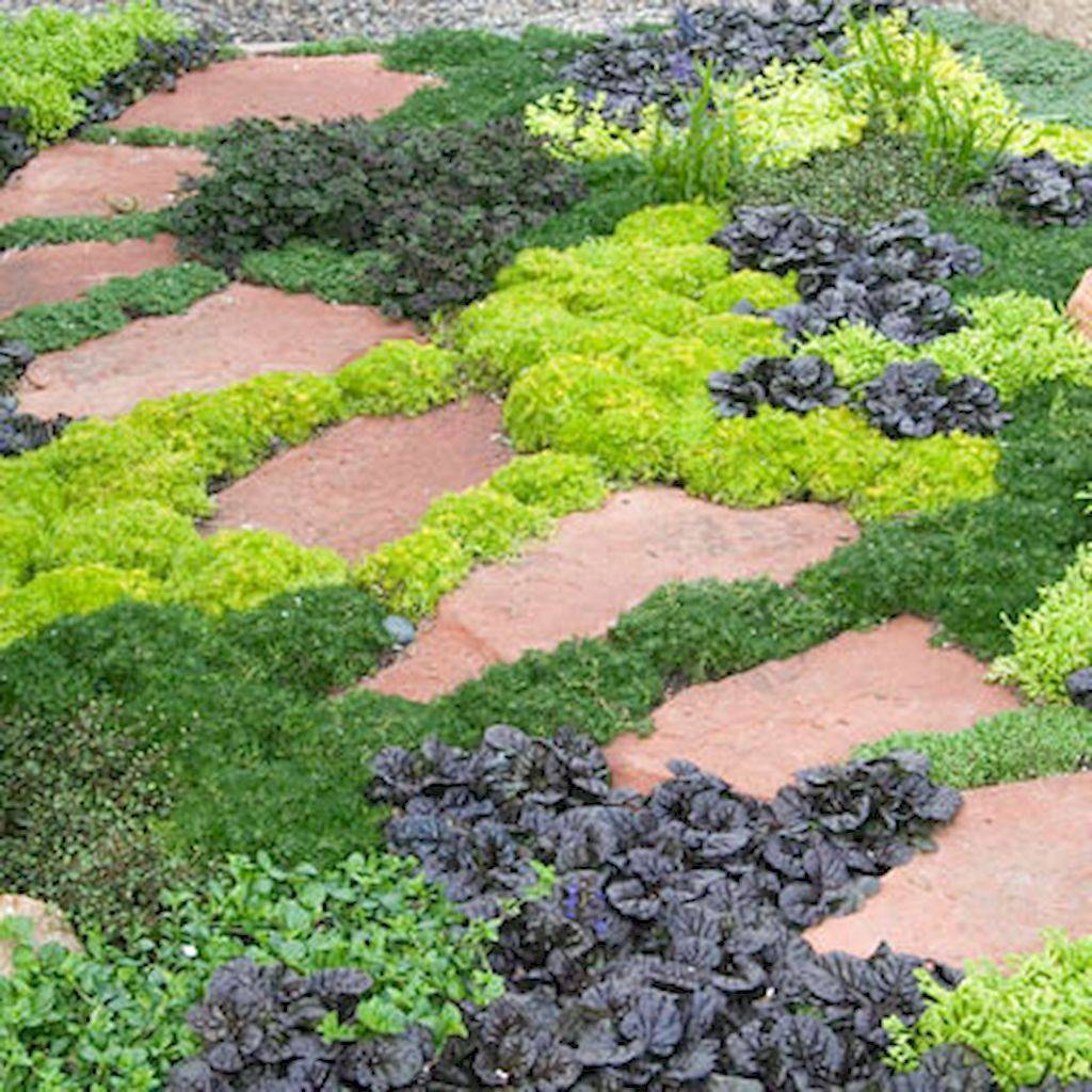 Charming Low Maintenance Garden Ideas