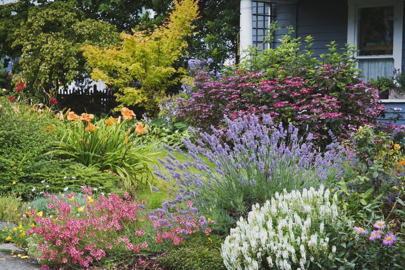 Charming Low Maintenance Garden Ideas