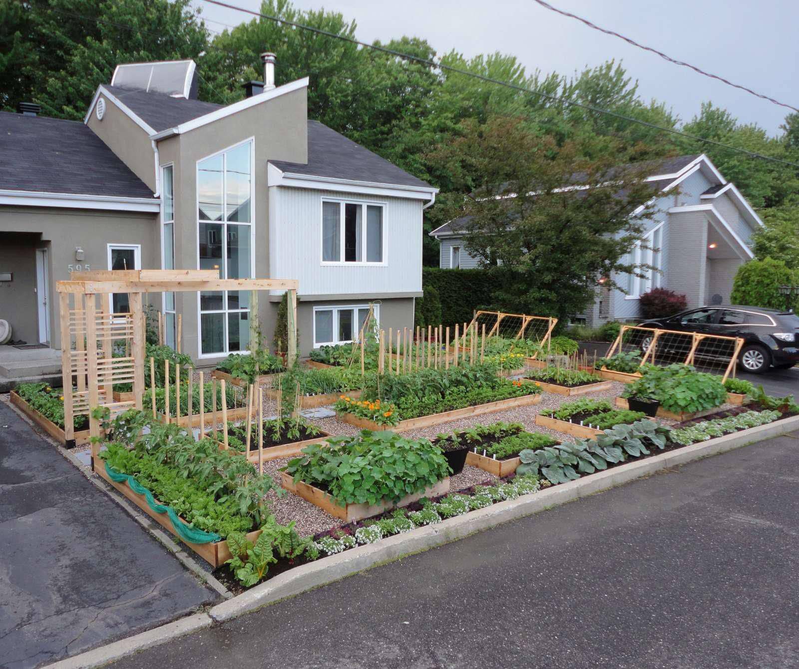 Beautiful Urban Permaculture Garden Example