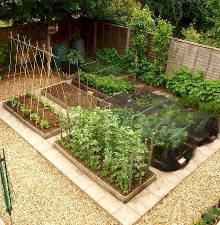 An Urban Vegetable Garden
