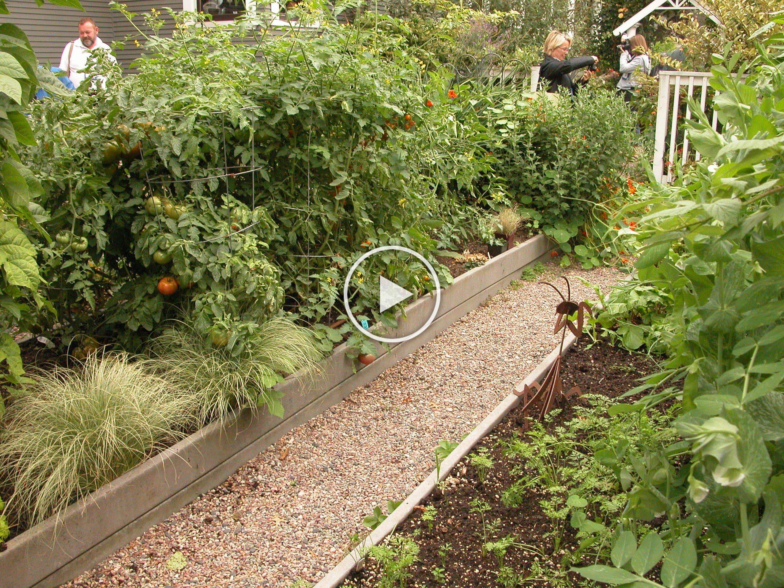 Great Looking Front Yard Veggie Garden