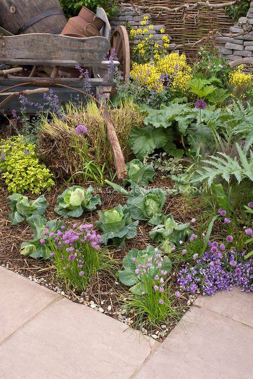 23 Urban Backyard Vegetable Garden Ideas You Cannot Miss SharonSable