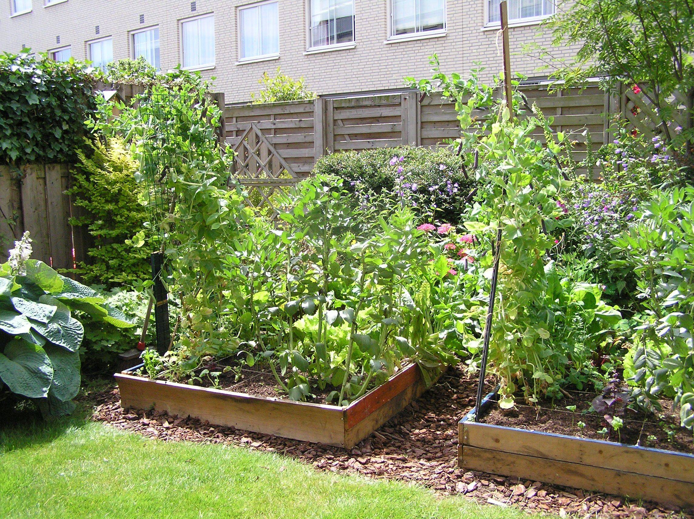 Best Vegetable Garden Design Ideas