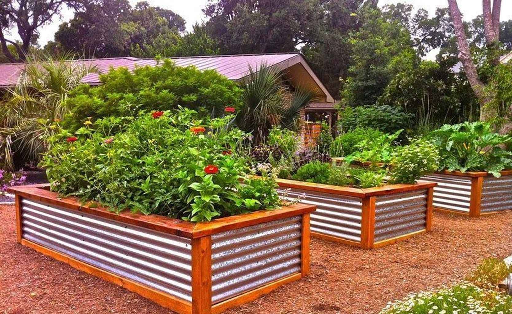 An Urban Vegetable Garden