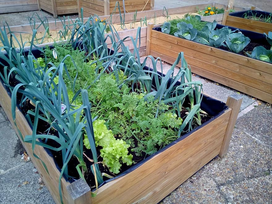 A City Side Yard Transformed
