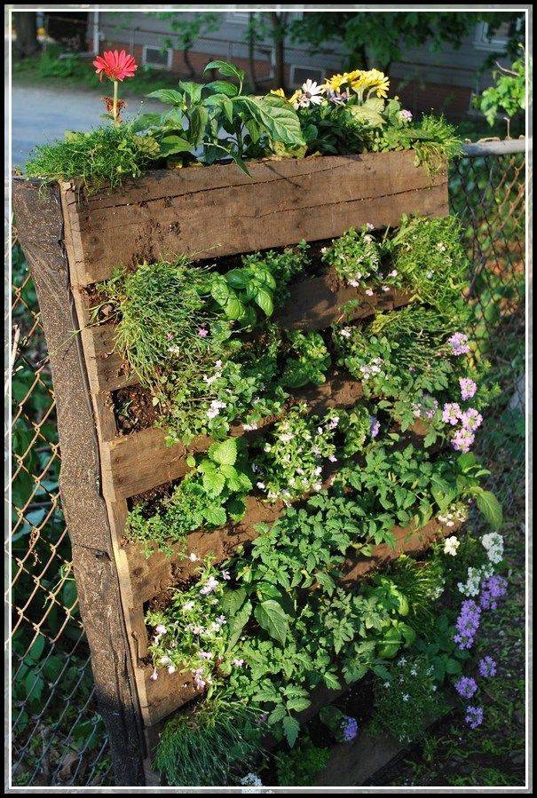 A City Side Yard Transformed