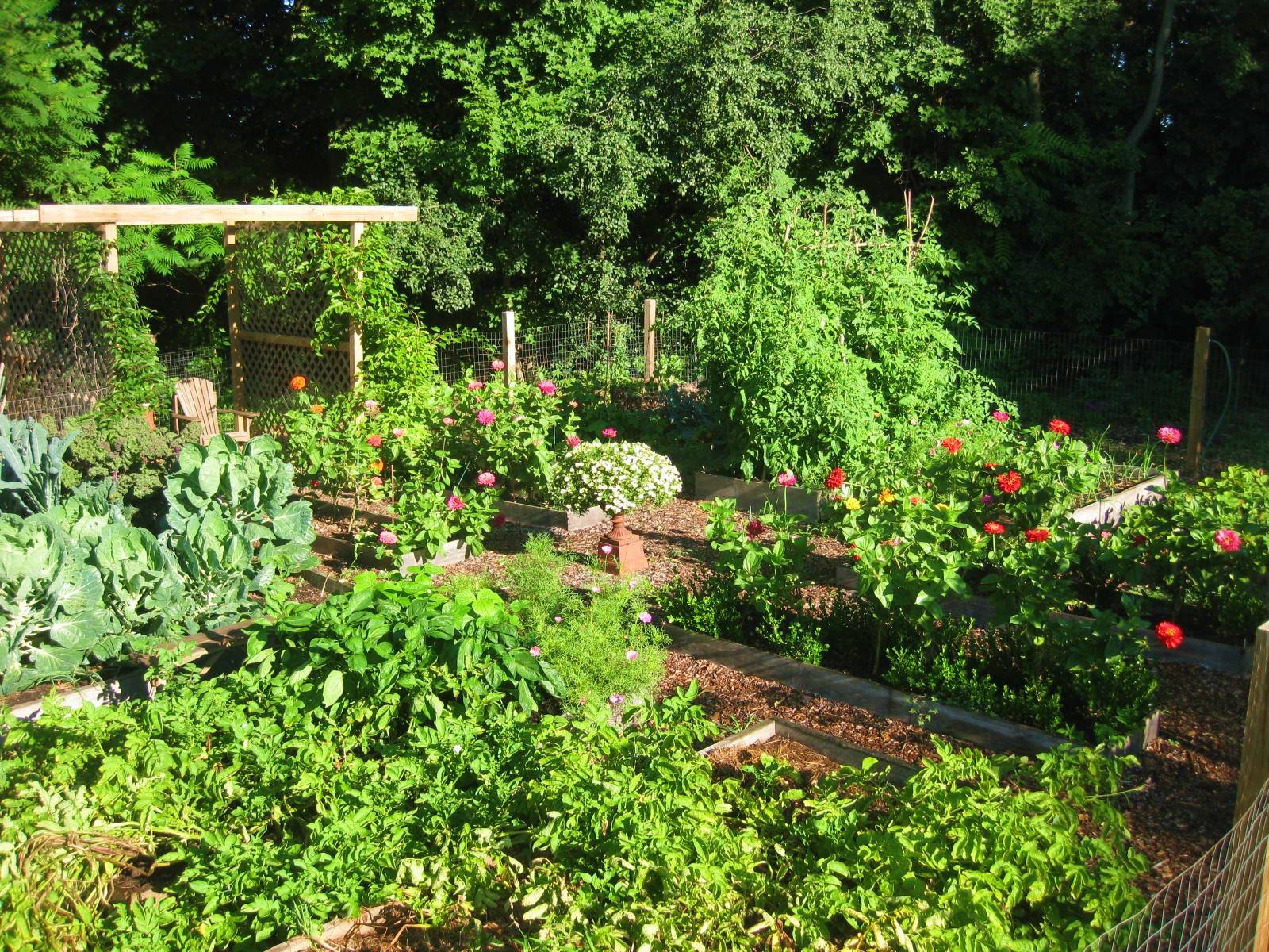 A City Garden