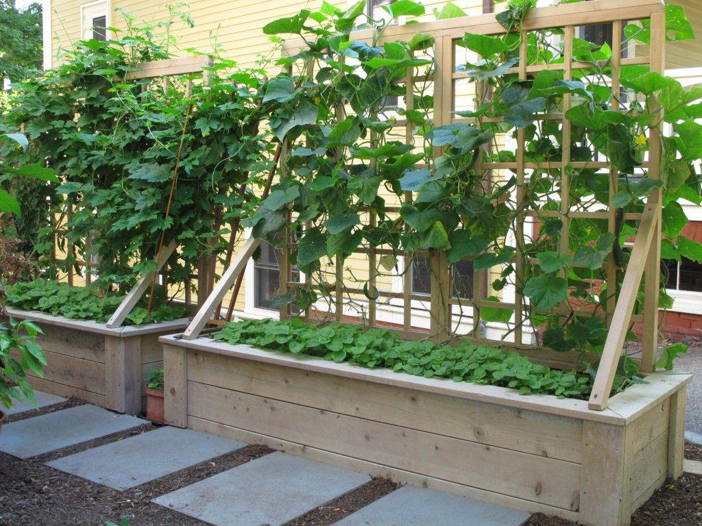 Urban Gardening Urban Garden