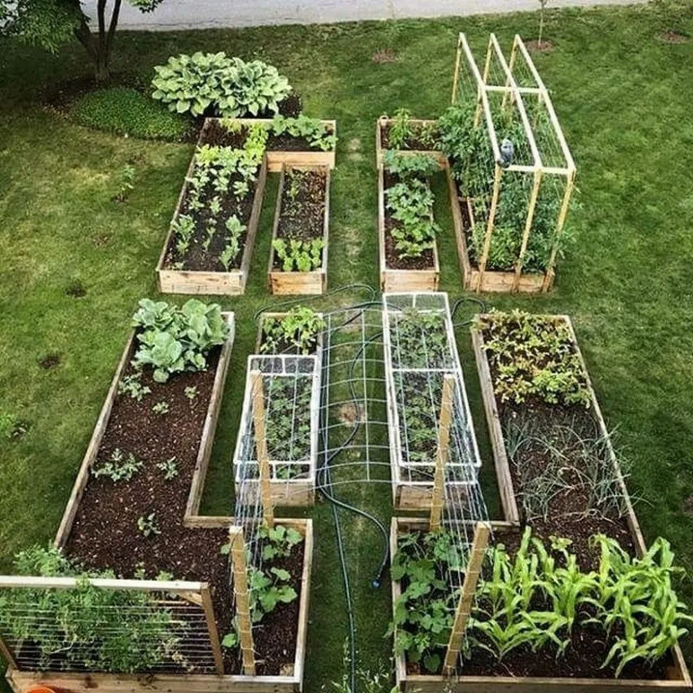 Elegant Rooftop Vegetable Garden Ideas