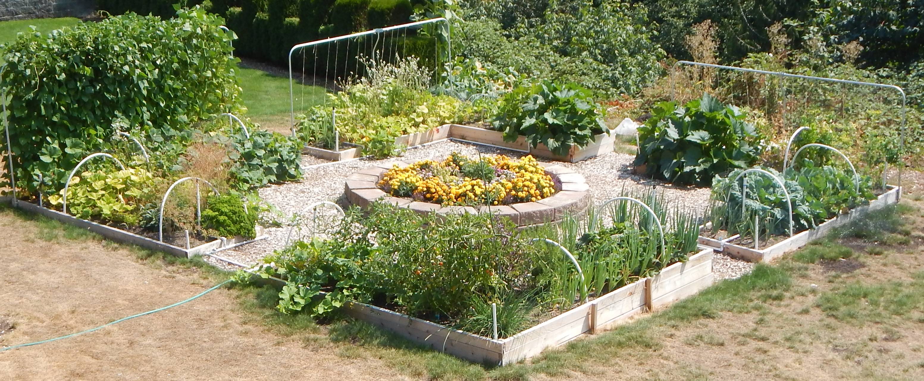 20 Small Urban Vegetable Garden Ideas Worth to Check SharonSable